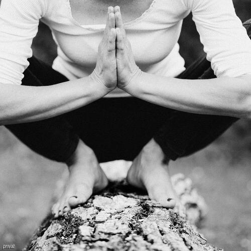 Yoga - lebendiges Gleichgewicht