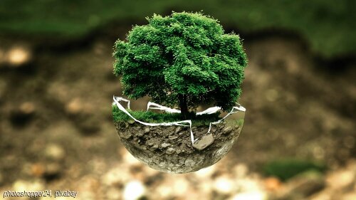 Nachhaltigkeit braucht Spiritualität